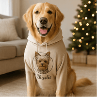 Pet Portrait Hoodie custom cat